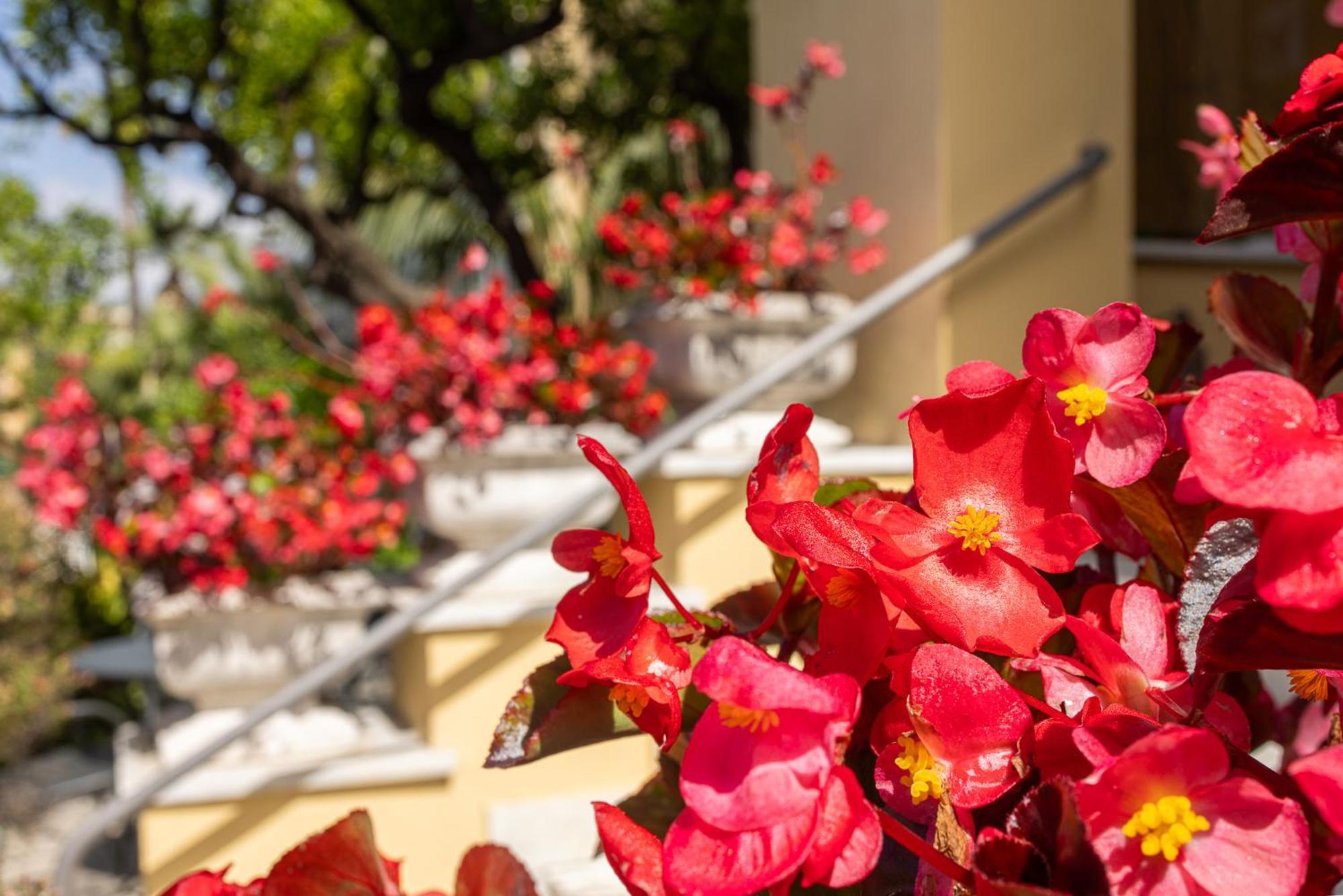 Hotel Villa Elisa & Spa Bordighera Exterior photo