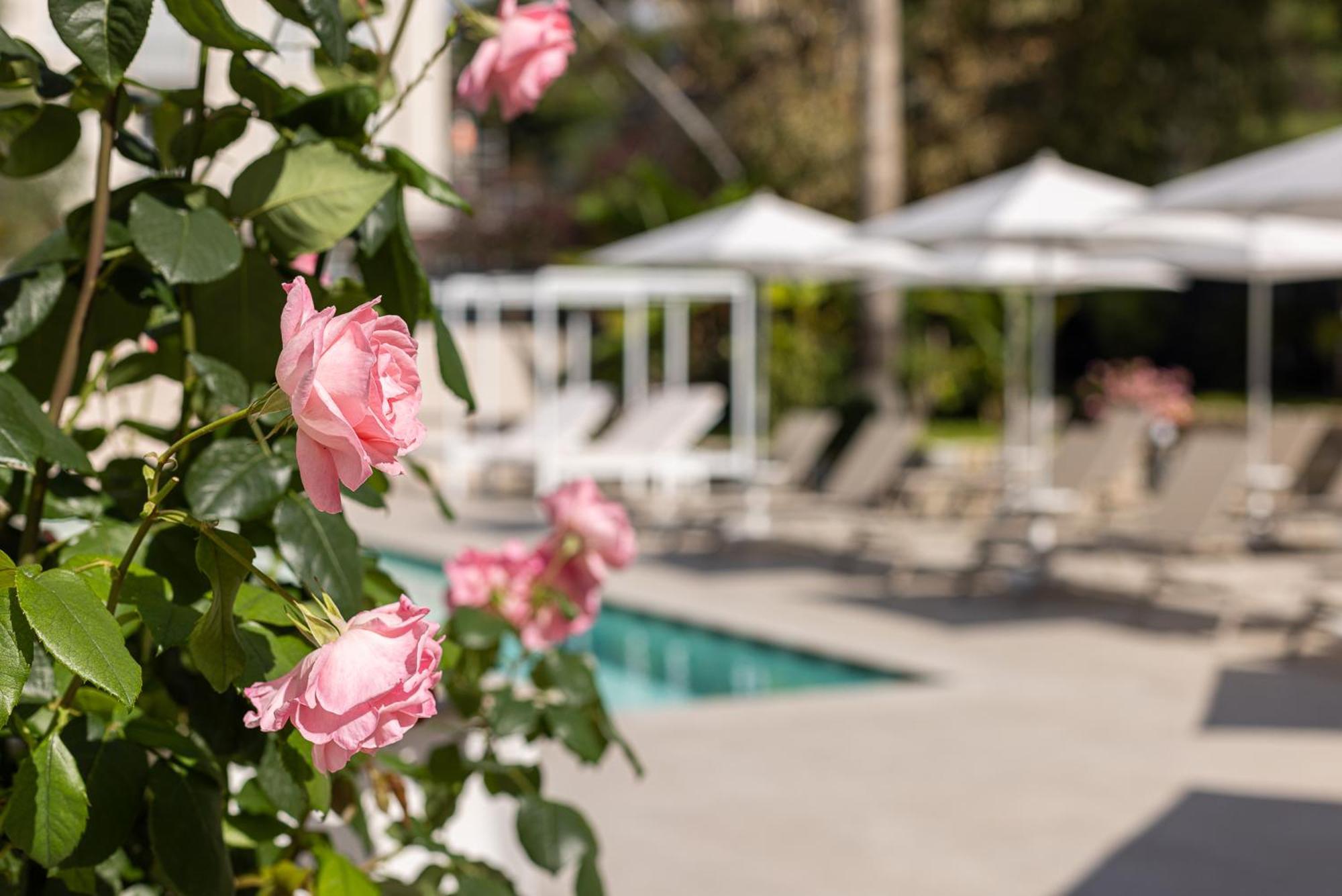 Hotel Villa Elisa & Spa Bordighera Exterior photo