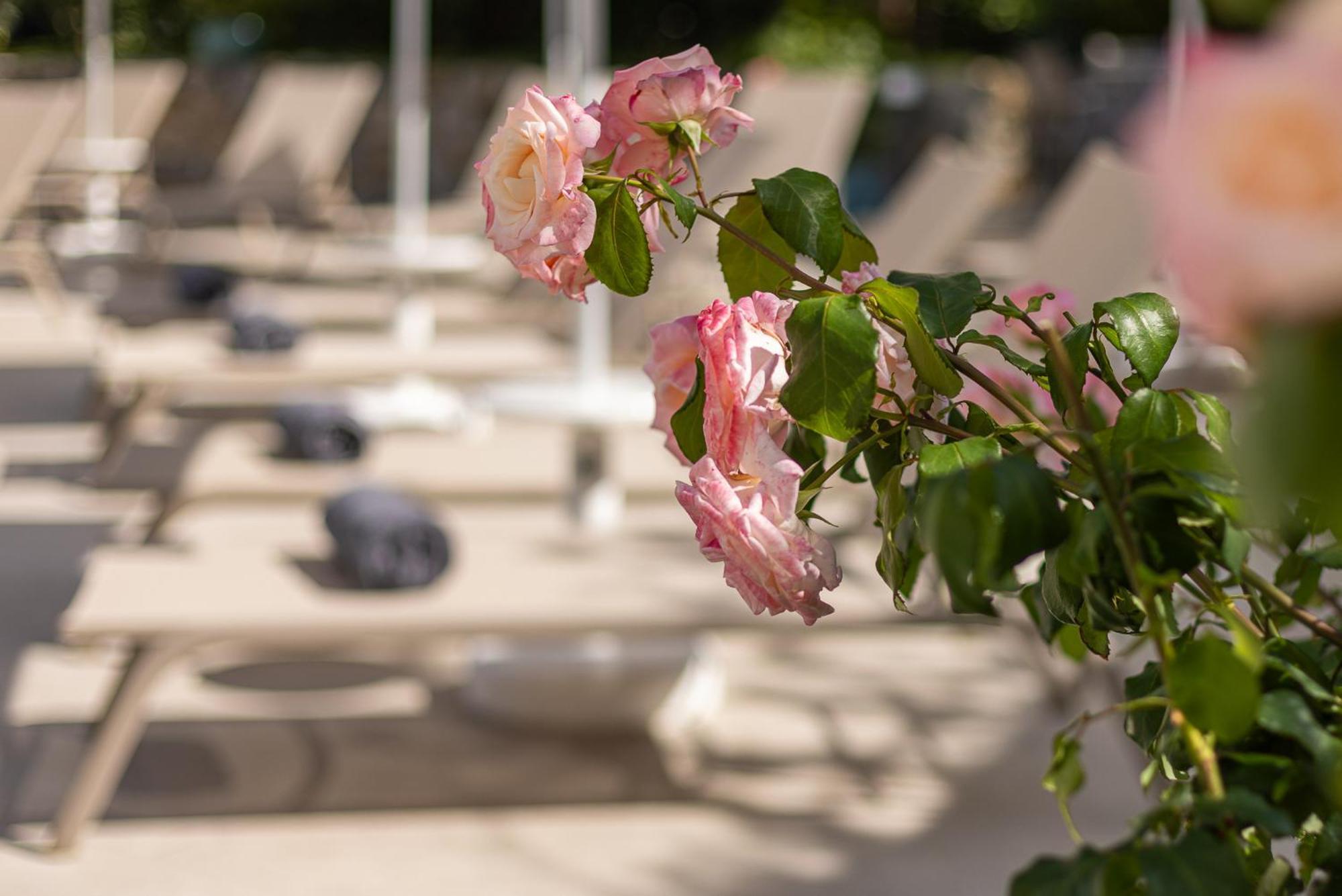 Hotel Villa Elisa & Spa Bordighera Exterior photo